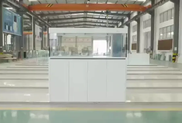 CADE    2025彩鲽DR系列首家外观圆弧设计 
    
让世界爱上中国造
（一直被模仿·从未被超越）