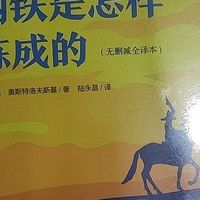 《钢铁是怎样炼成的》阅读体验