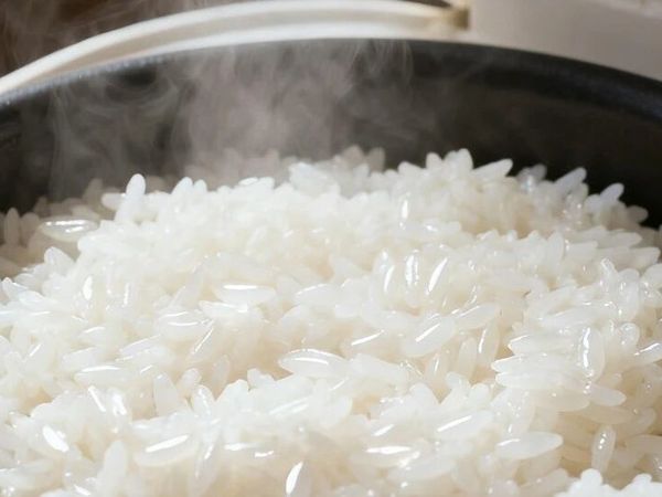 为什么有些大米吃起来 “没味道”？可能是你没选对品种