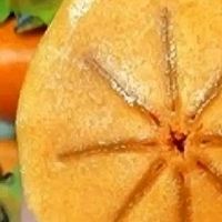 巧克力脆柿 清甜多汁 来自秋季的美味馈赠 