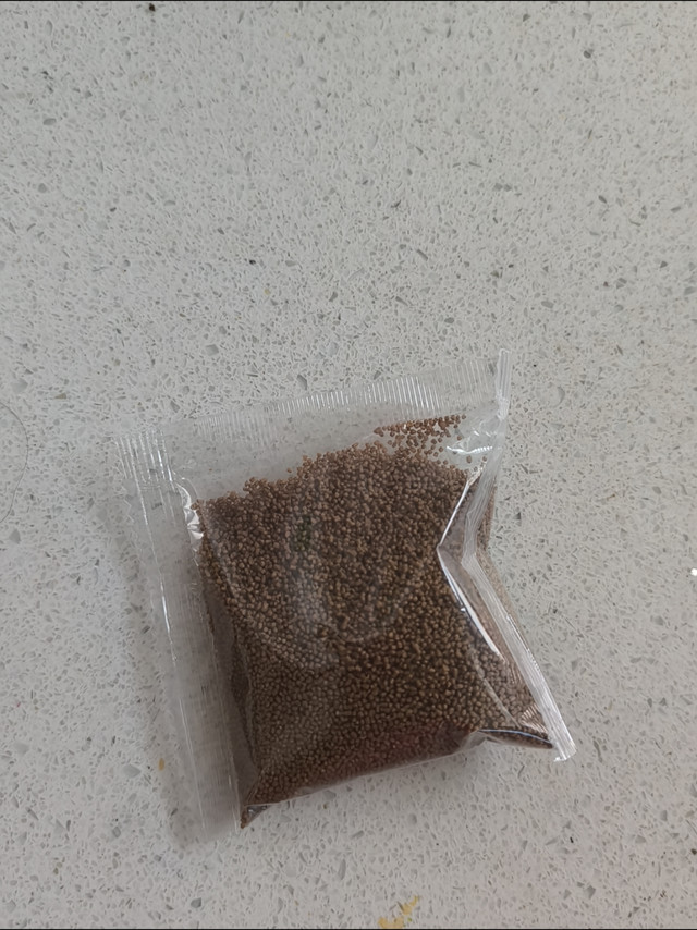 鱼饲料小颗粒增色研究