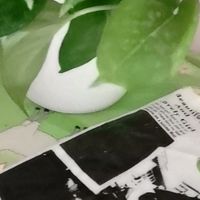 装修避坑指南：打造理想之家的六大核心建议