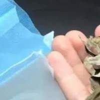 第一次感受到“一次性口罩”的强大,功能太多,被我们远远低估了