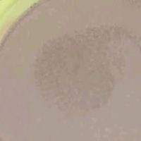 通勤底妆刚需：玛丽黛佳种籽气垫的惊喜体验