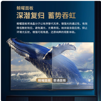 客厅直接变 IMAX 影院！夏普 HU8500 这波画质杀太狠了🎬