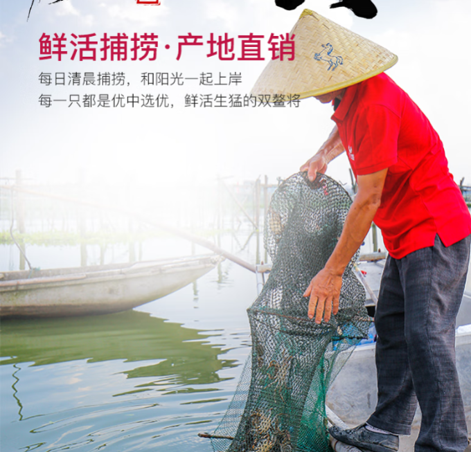 阳澄联合蟹类