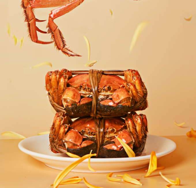 阳澄联合蟹类