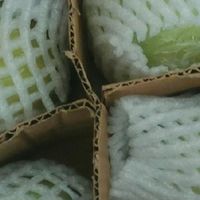 当季3/5斤青苹果，新鲜包邮到家