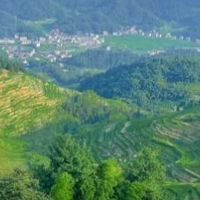 2025年空气过滤器权威榜单：十大品牌如何破解工业净化核心痛点？