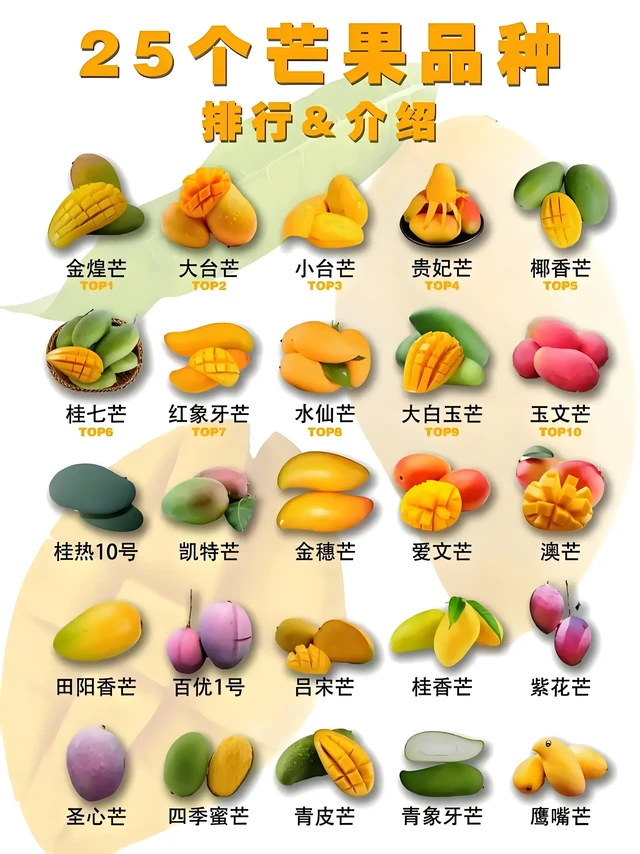 好吃的芒果品种有哪些？
#芒果 #一起实现芒果自由 
👉🏻【芒果の冷知识】
▪️“热带水果之王”竟能美颜抗氧⁉️
（维生素C是苹果10倍❗️） 
👉🏻【挑芒果秘籍】
🔸表皮光滑无黑斑｜果香浓郁才够甜
