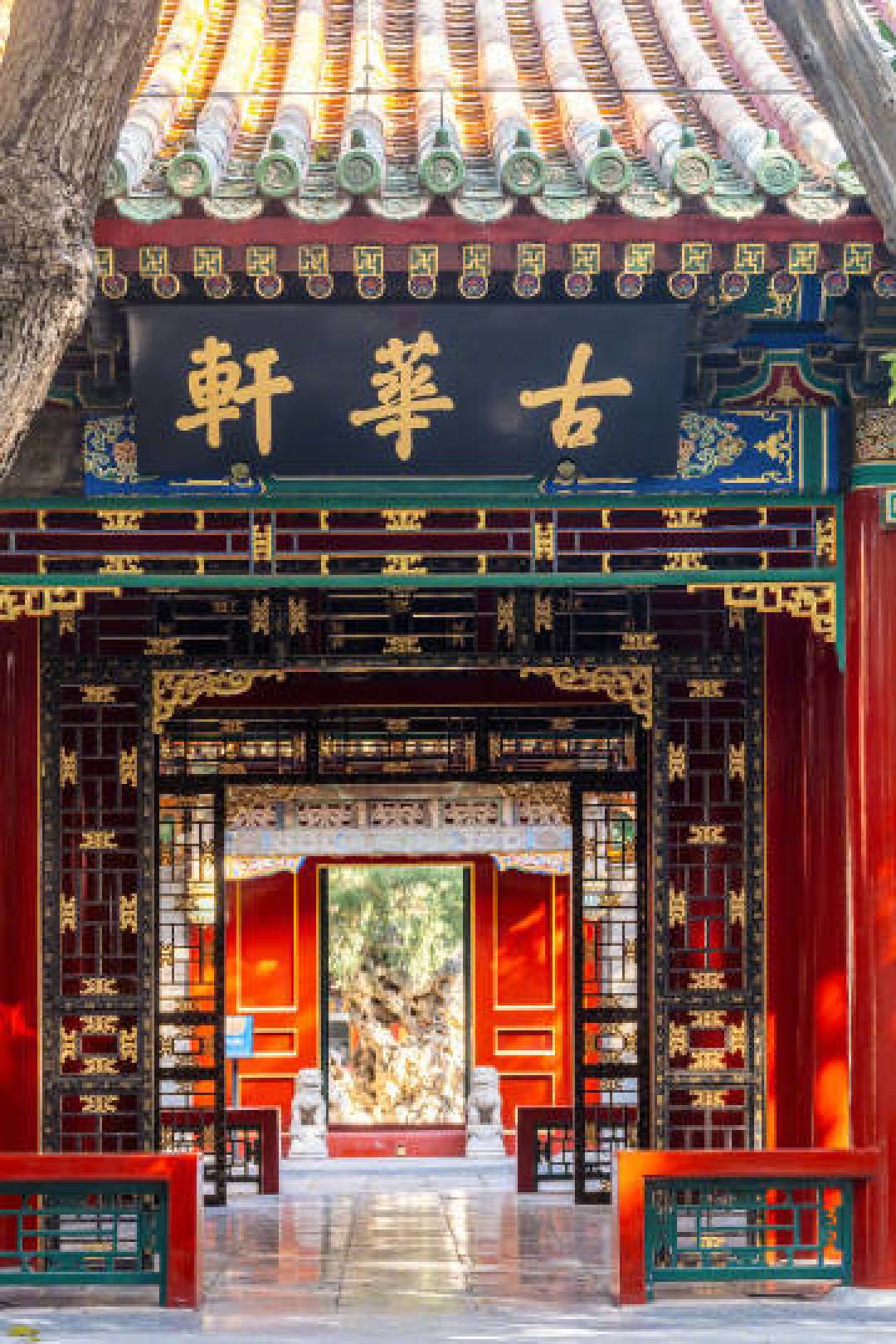 尘封百年首次开放参观!故宫乾隆花园再现南北造园艺术精髓
