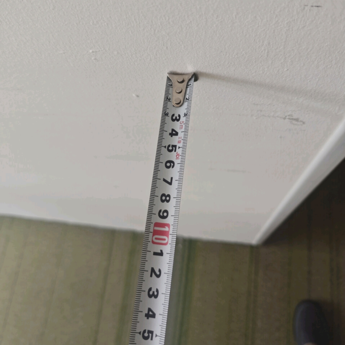 惠象尺类