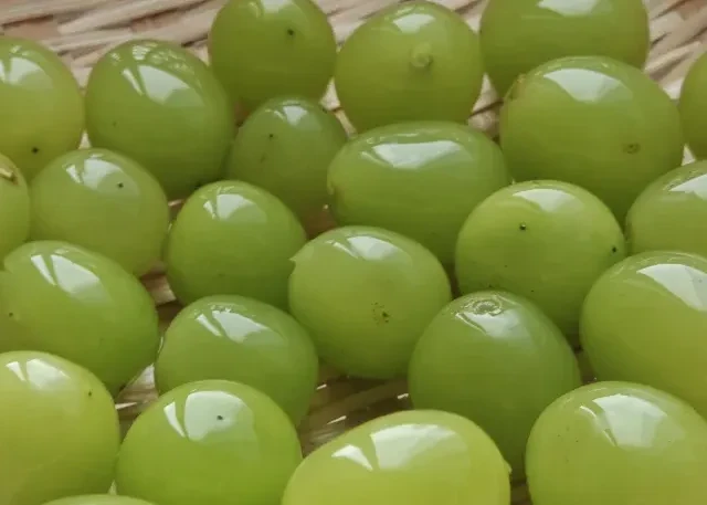 拼夕夕＆七鲜好物～报恩蔬菜和一些好用的！