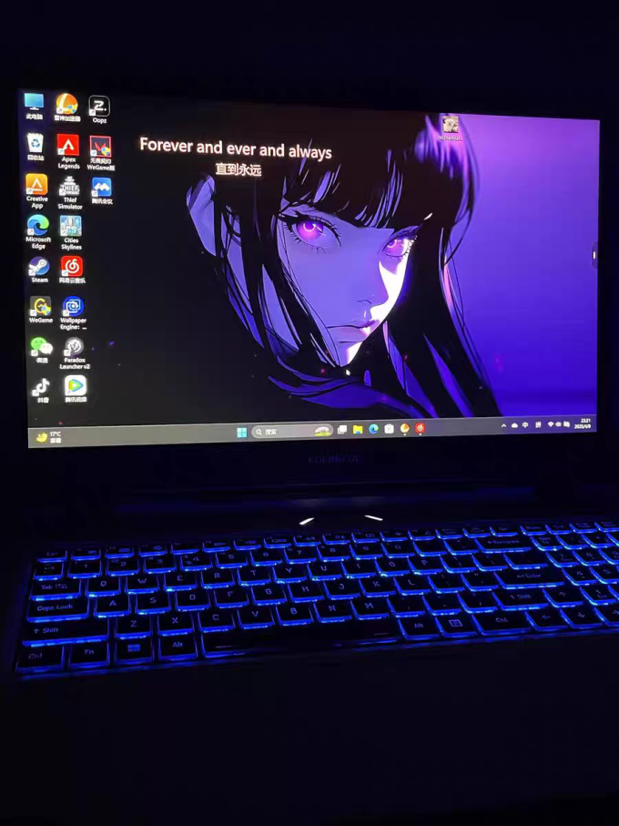 七彩虹笔记本电脑