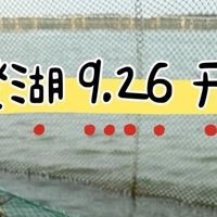 2025阳澄湖大闸蟹开湖官宣！这份赏味指南请收好