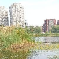 短途旅行推荐：周末出游