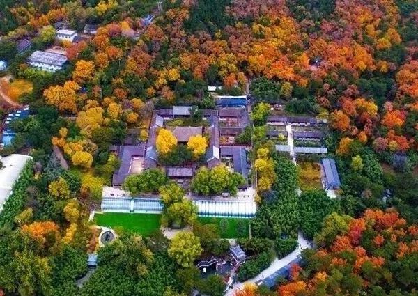 这个音乐节“永不落幕”！还免费 | 北京音乐地图