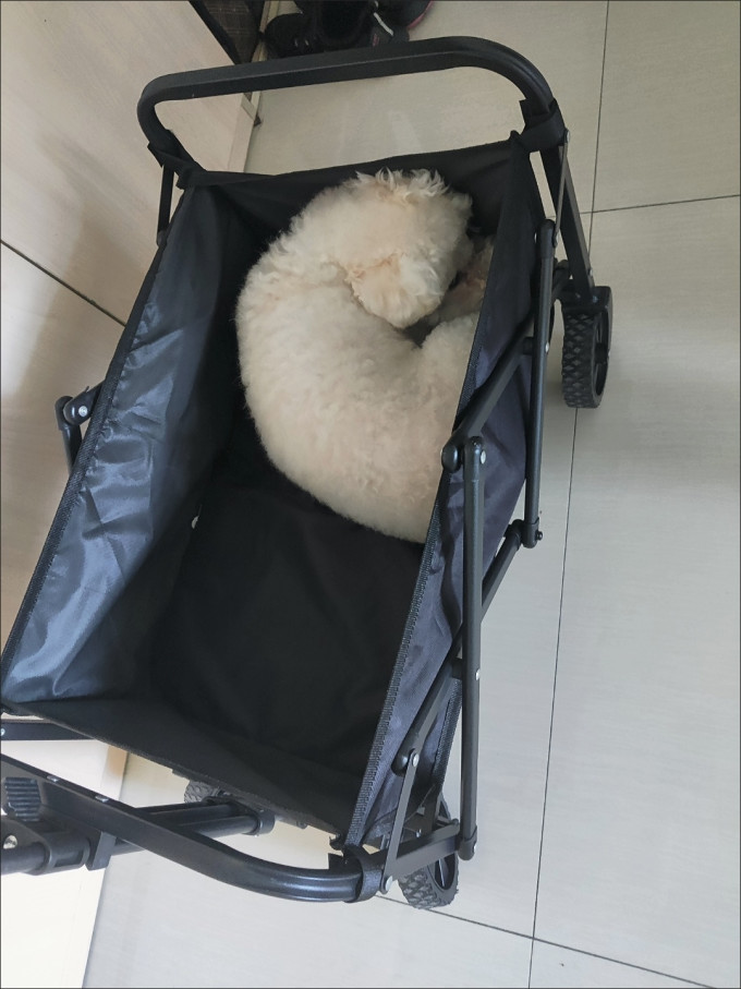 野徒者营地车