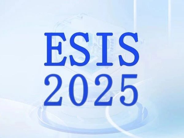 解析ESIS|金霸王（中国）有限公司赵小华：AI驱动电子半导体出海数字化