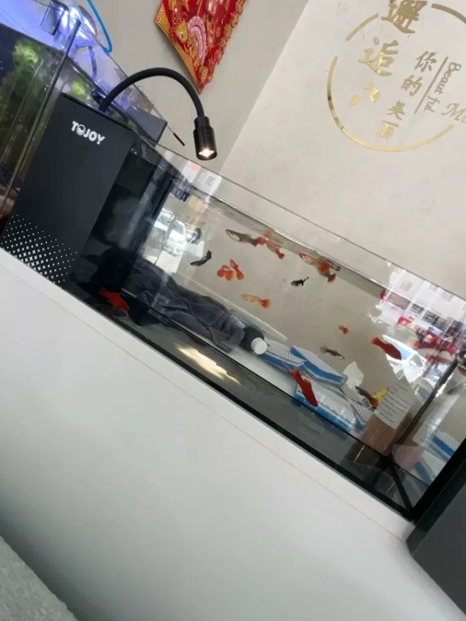 鱼缸