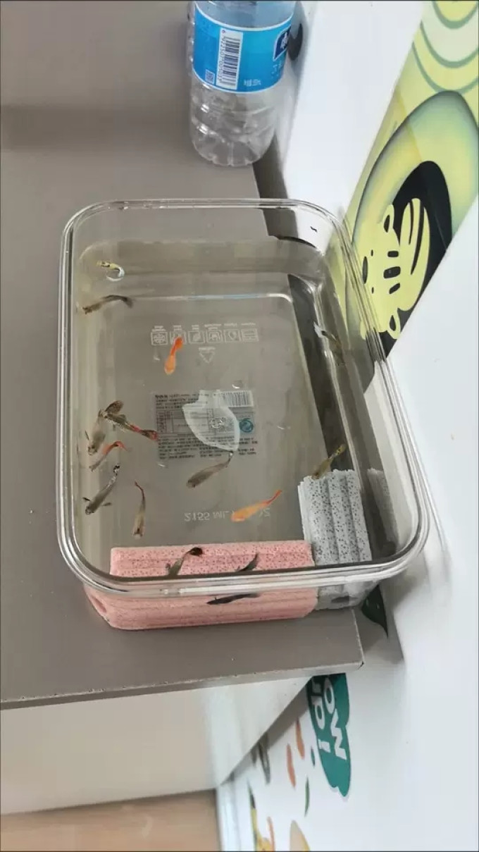 鱼缸