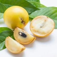 黄金果是什么水果？你真的吃过吗？