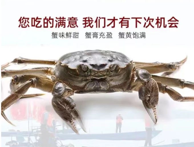 湖鲜阳澄蟹类
