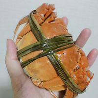 阳澄湖大闸蟹清蒸攻略