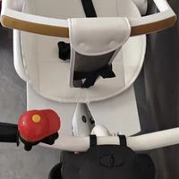 芙莱欣三轮车：双11亲子投资