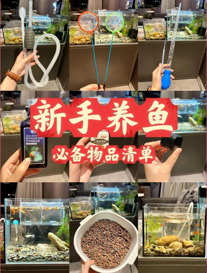 憨憨乐园水族设备