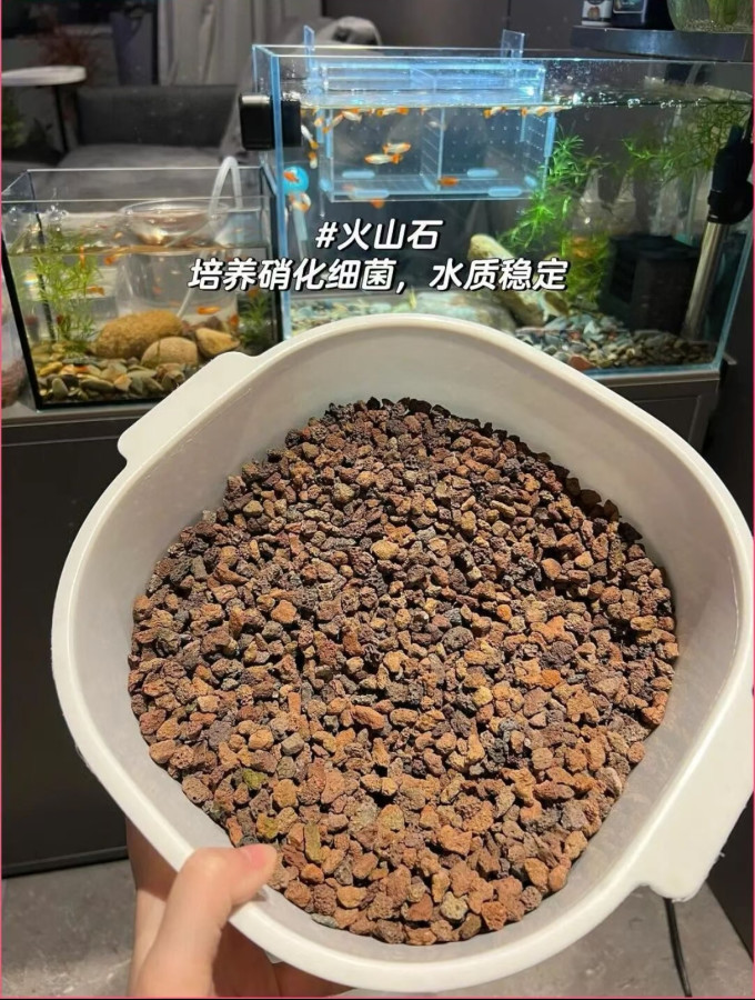 憨憨乐园水族设备