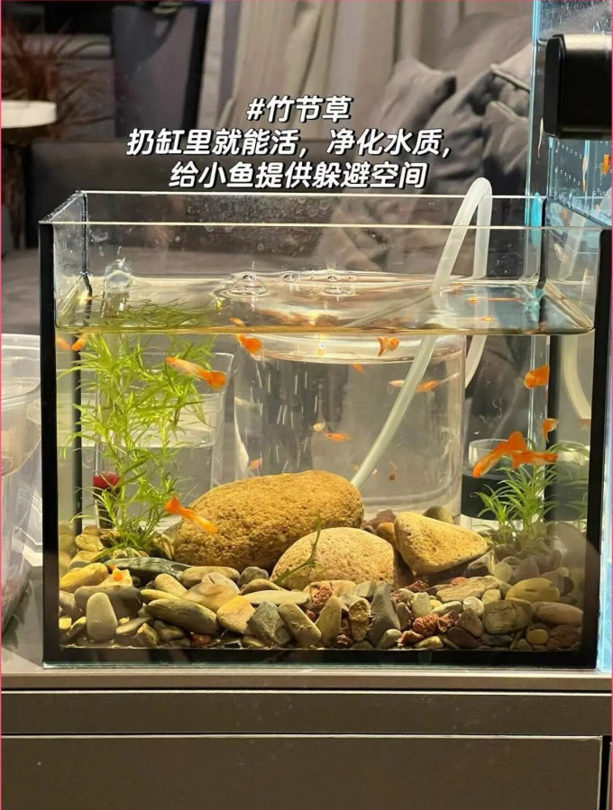 憨憨乐园水族设备