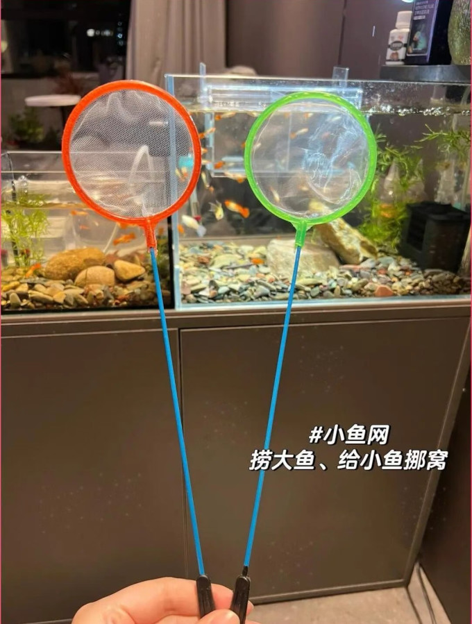 憨憨乐园水族设备