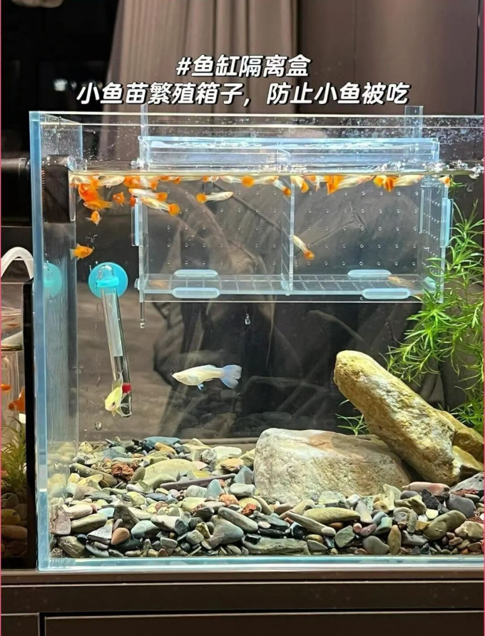 憨憨乐园水族设备