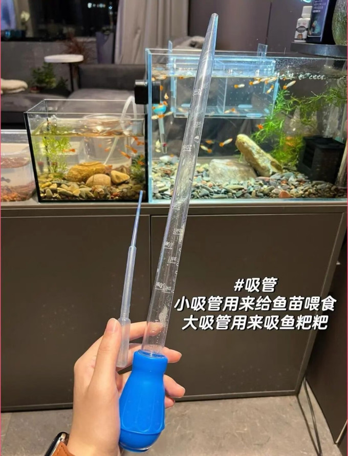 憨憨乐园水族设备