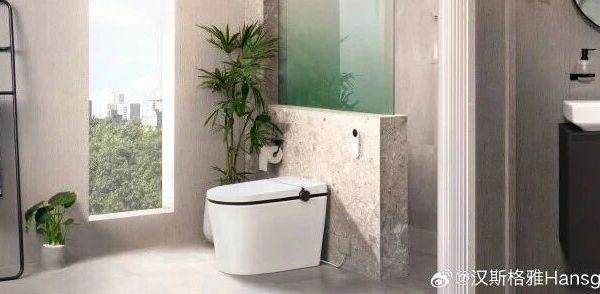 #汉斯格雅Hansgrohe#小户型之光 | 确认过眼神，它就是对的马桶