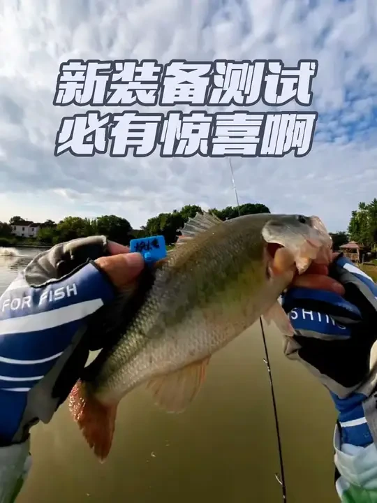 每次新装备拿来测试,都能有意想不到的惊喜,又是收货满满的一天,当然不会忘记粉丝哦#池刃路肯特纺车轮 #池刃路肯特二代 #池刃 #路亚装备测评 #路亚装备 @池刃运动户外 @池刃户外运动 @友间路亚 @