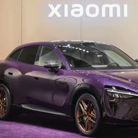8万定金锁定“紫水晶”，小米用定制服务捅破新势力高端化窗户纸