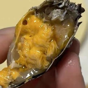 大闸蟹开湖啦，满满蟹黄的阳澄湖大闸蟹太满足了