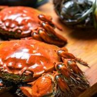 大闸蟹选购与品鉴技巧