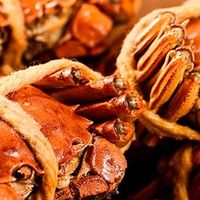 大闸蟹挑选与烹饪全指南