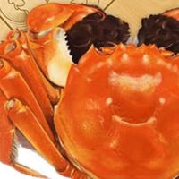 秋味至鲜：一篇搞定大闸蟹的挑、煮、吃全攻略