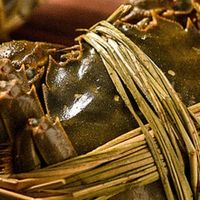 秋天吃蟹不踩坑！3招挑出满黄满膏的大闸蟹