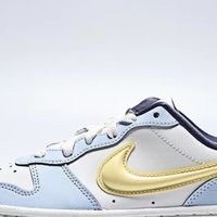 Nike COURT BOROUGH LOW RE CRAFT 大童运动鞋简介