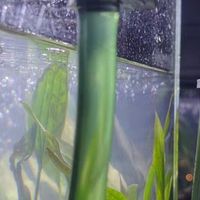 养鱼无忧：森森过滤桶体验报告