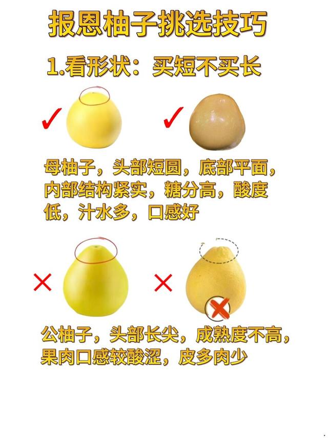 挑选报恩柚子的实用技巧