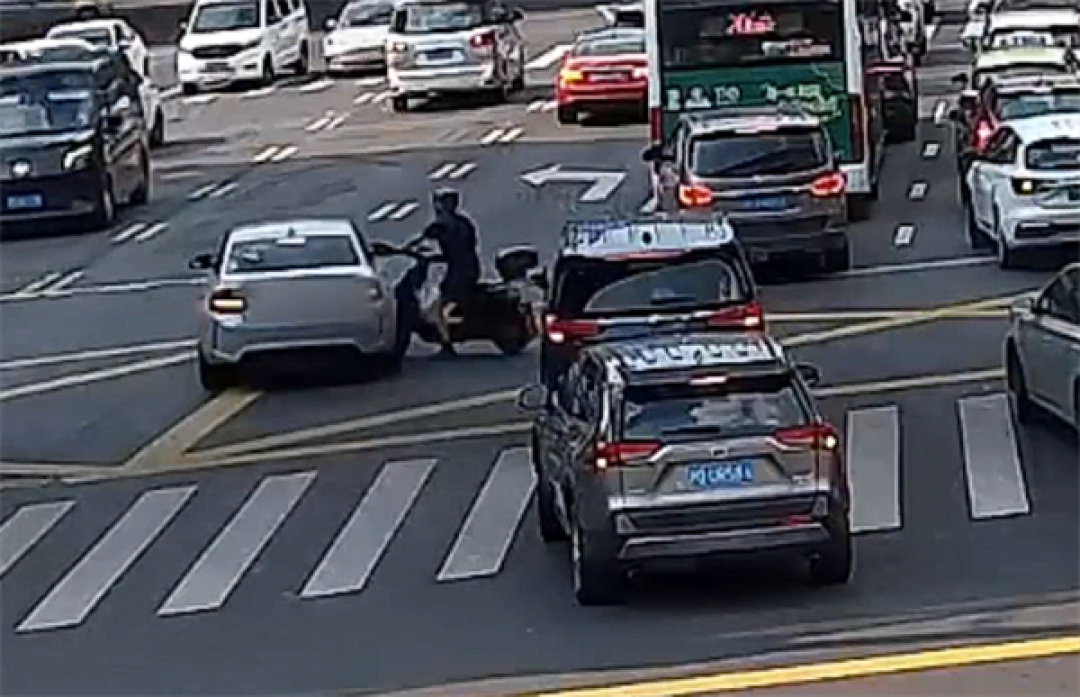 骑电车鬼探头致事故被判全责 男子不满:看不到我他开什么车!