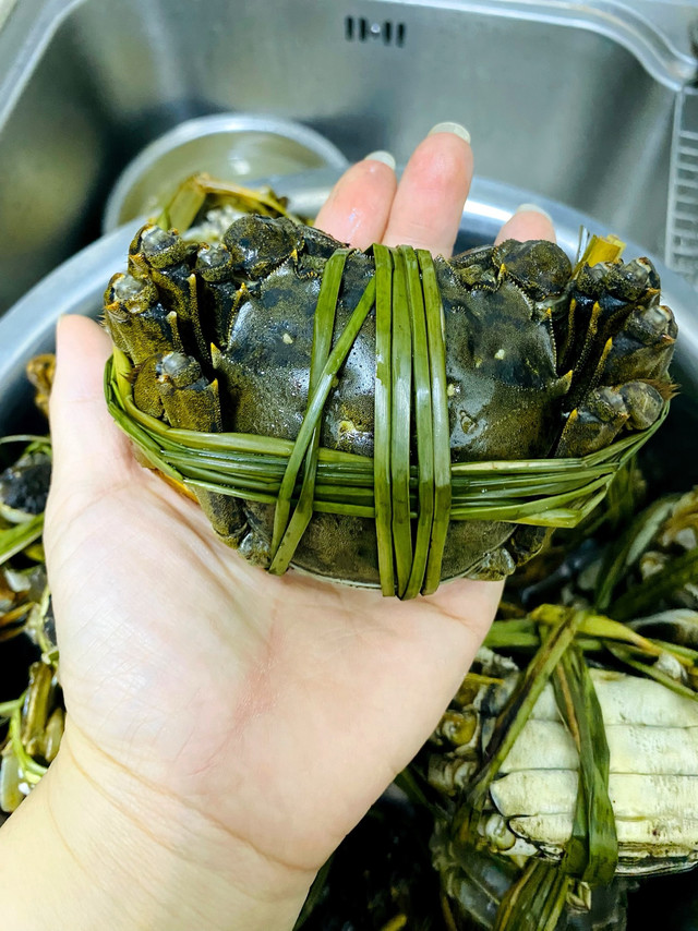 开湖尝鲜！蟹百道苏州全母蟹，香草捆扎太惊艳
