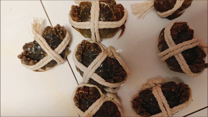 湖鲜阳澄蟹类