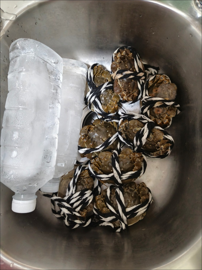 湖鲜阳澄蟹类